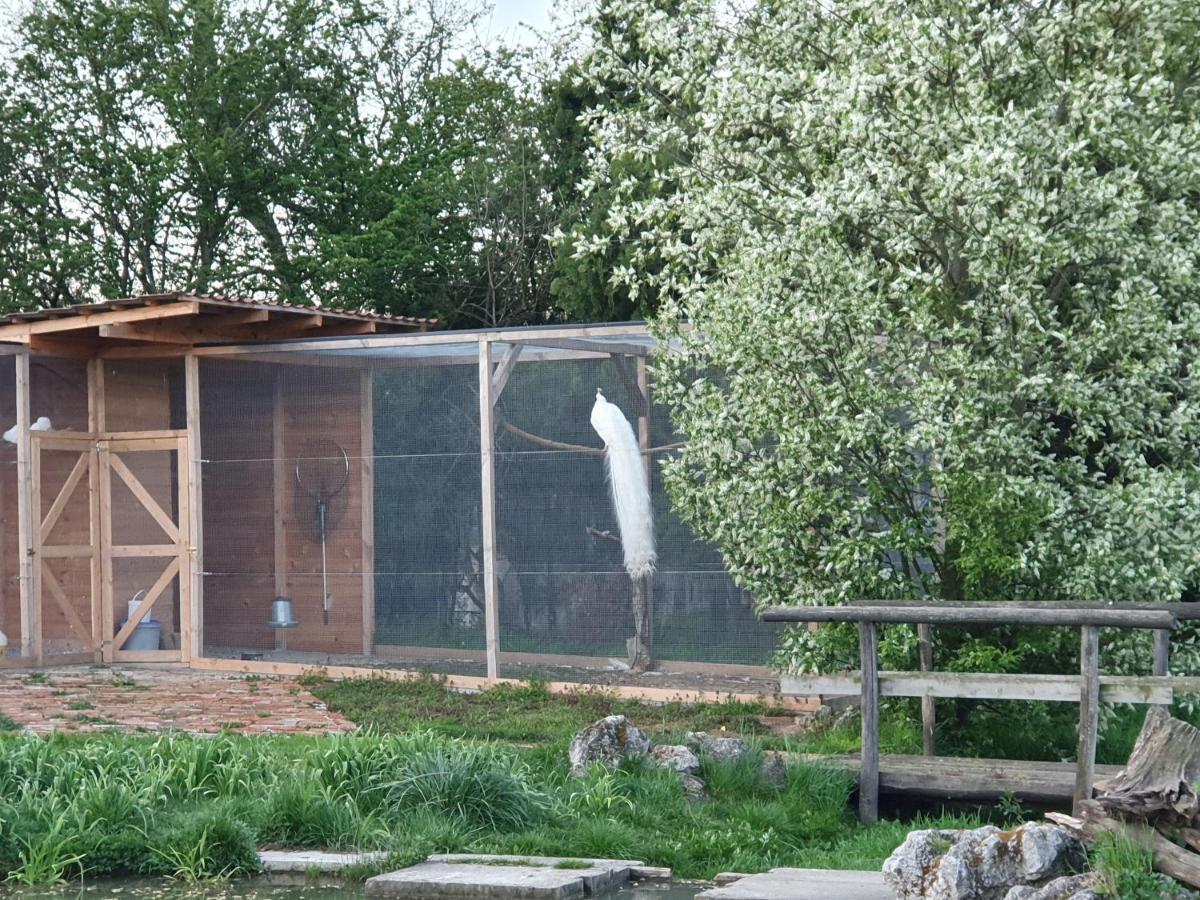 U Durkovych Guest House Zabokreky Nad Nitrou Екстериор снимка